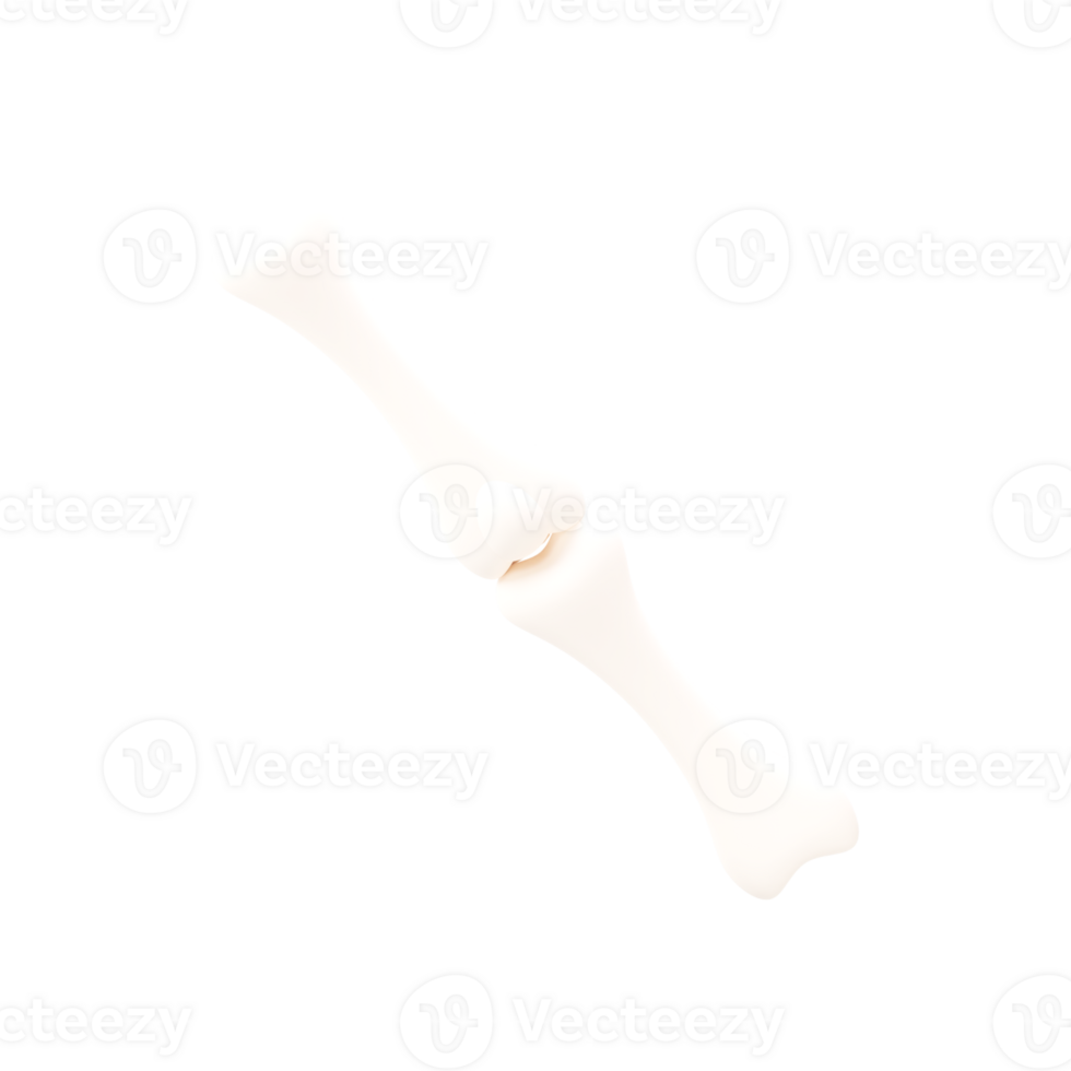 3D Illustration Of Joint Bone Element. png