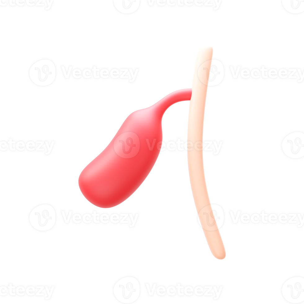 3D Render Of Gallbladder Polyps Element In Red Color. png