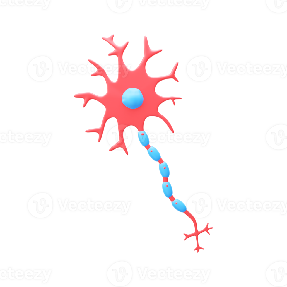 3D Illustration Of Neurons Element In Blue And Red Color. png