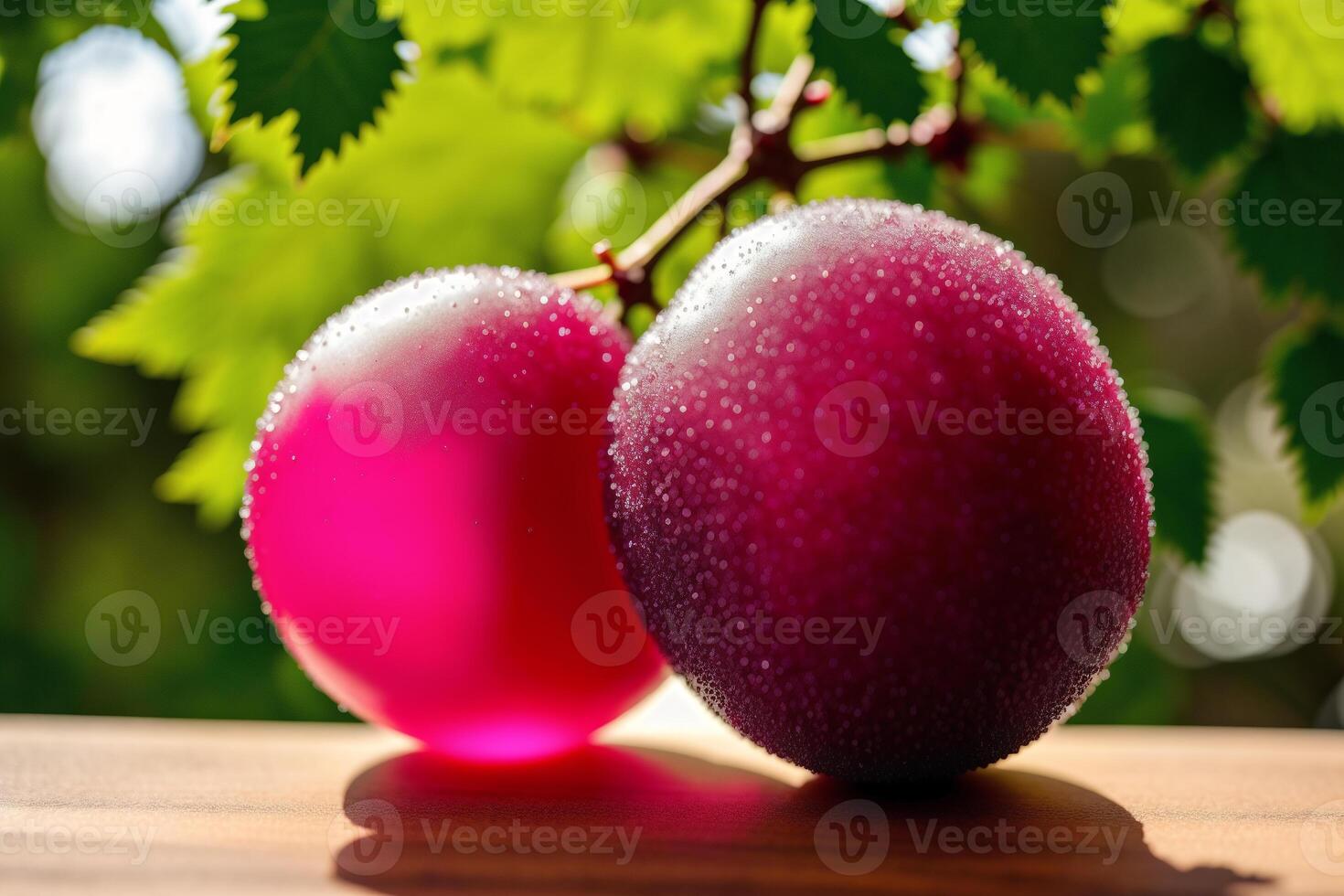 Two red plum with drops of water on the background of green leaves. Healthy food concept. photo