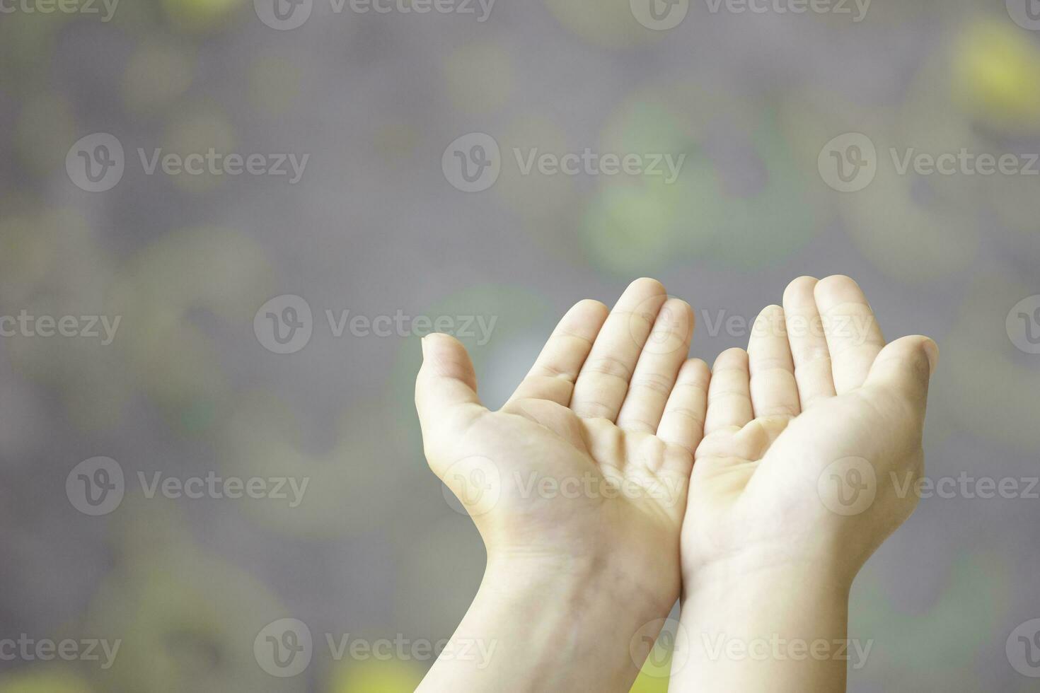 two empty female beautiful hands open with palms up closeup of top view isolated on white background photo