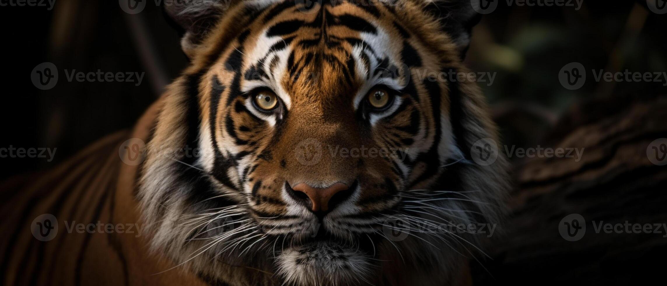 Tigre cara cerca arriba ciemático ai generativo foto