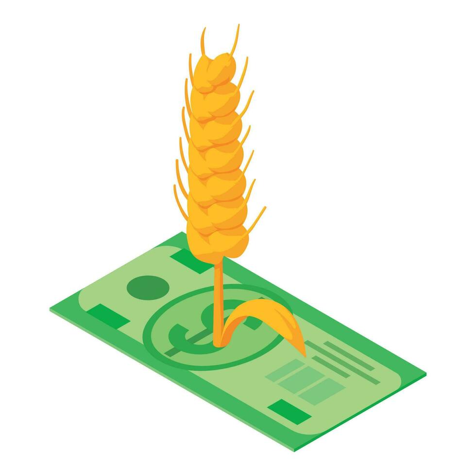 Brewing concept icon isometric vector. Ripe spikelet of barley on dollar bill vector