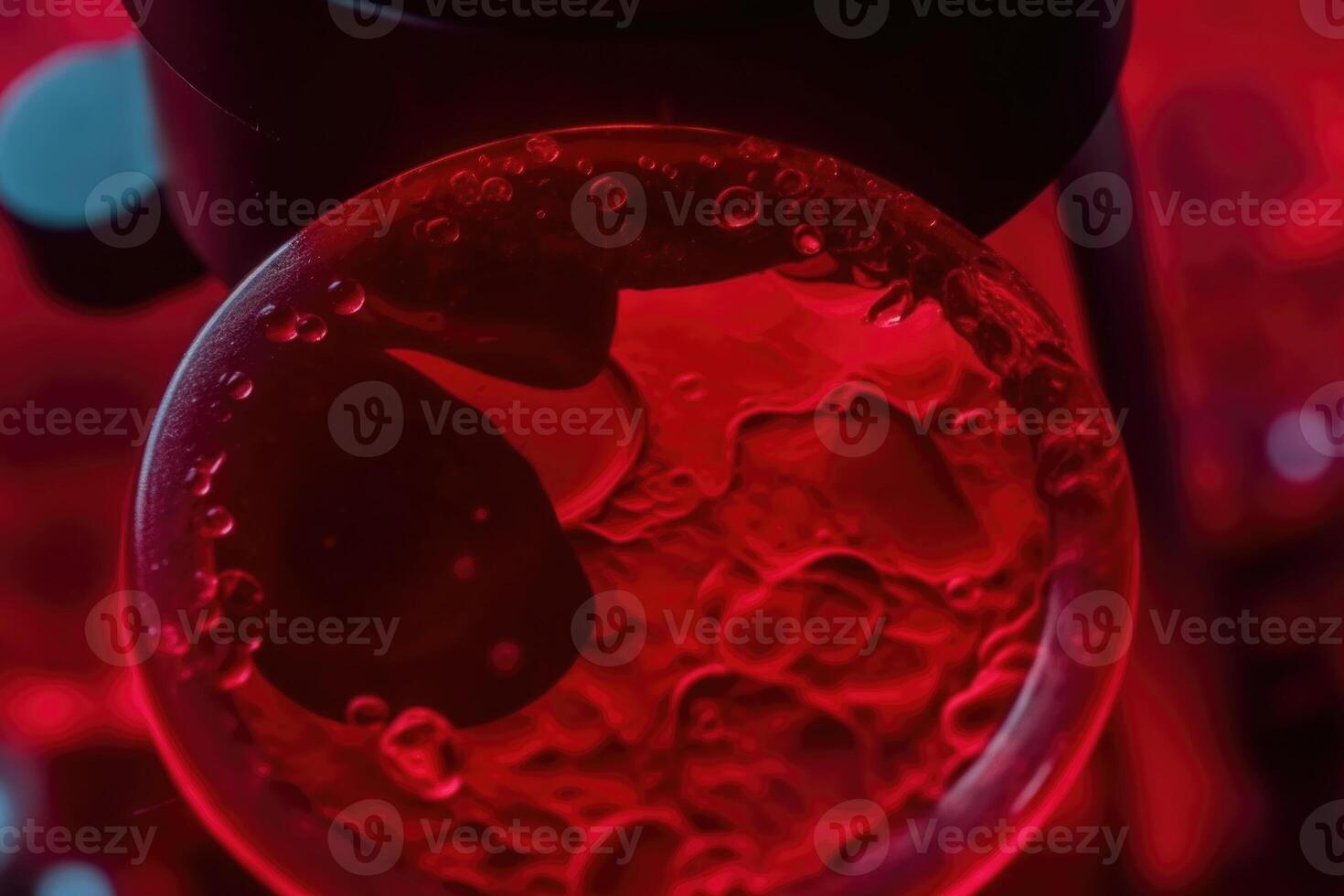 Macro shot of red blood cells in artery. photo