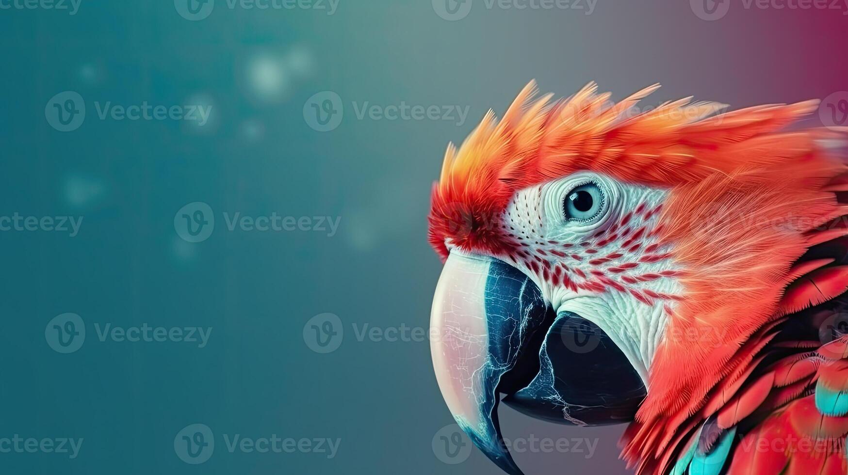 Tropical wallpaper banner with exotic parrot on vivid background. photo