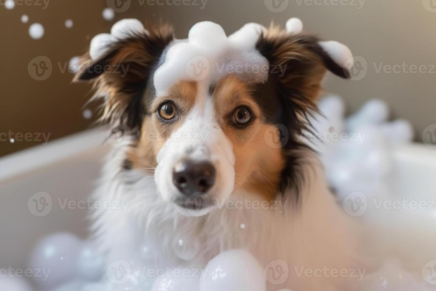 Lavado mascota. linda perro en bañera con champú espuma. generativo ai foto