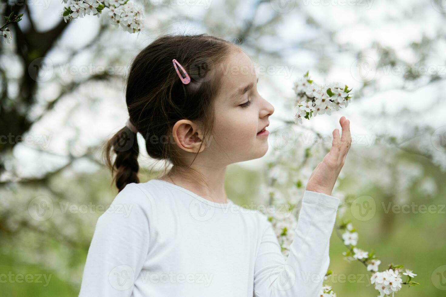 Portrait of preschool girl against white blloming tree in spring. photo