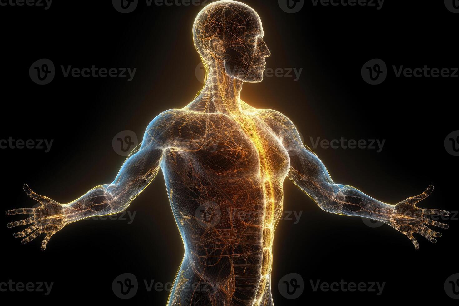 Glowing human body silhouette on dark background. photo