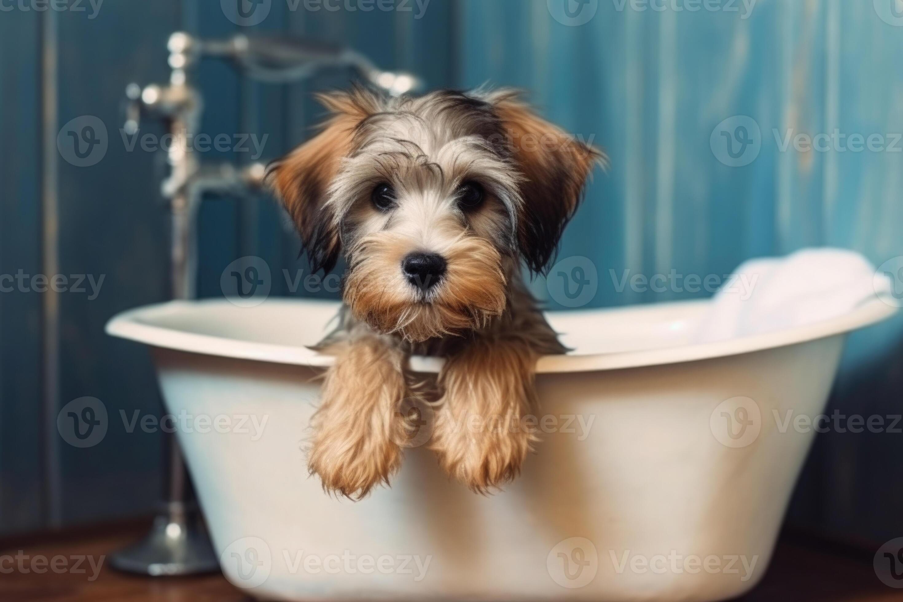 Washing pet. Cute dog in bath with shampoo foam. Generative AI 23602308