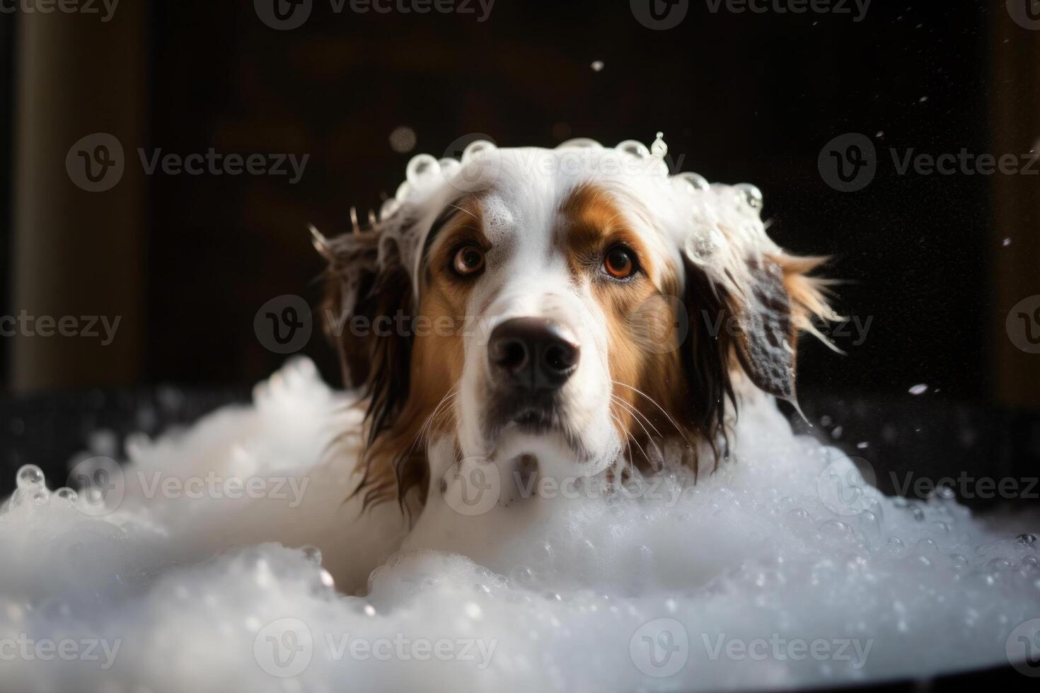 Washing pet. Cute dog in bath with shampoo foam. photo