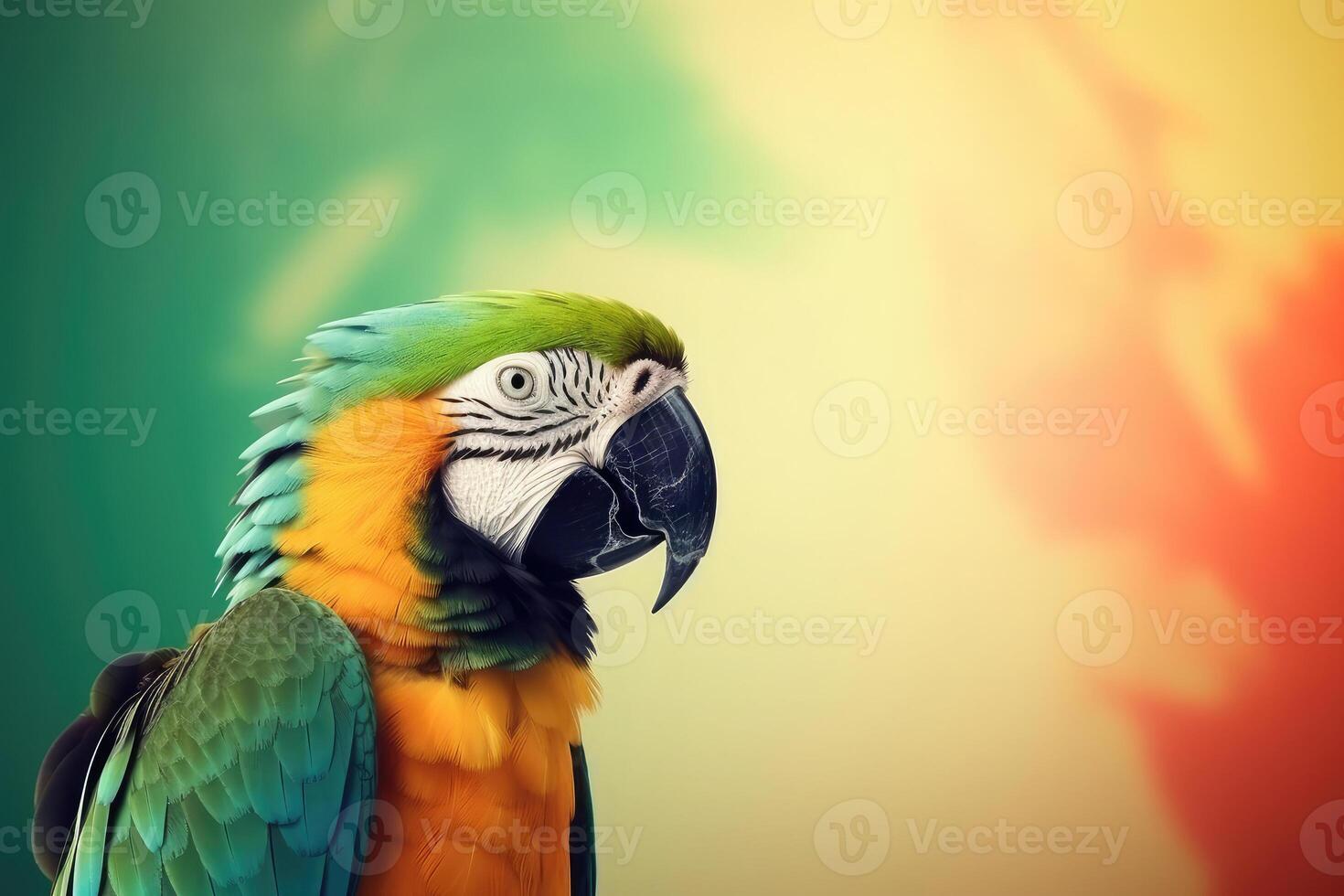 Tropical wallpaper banner with exotic parrot on vivid background. photo