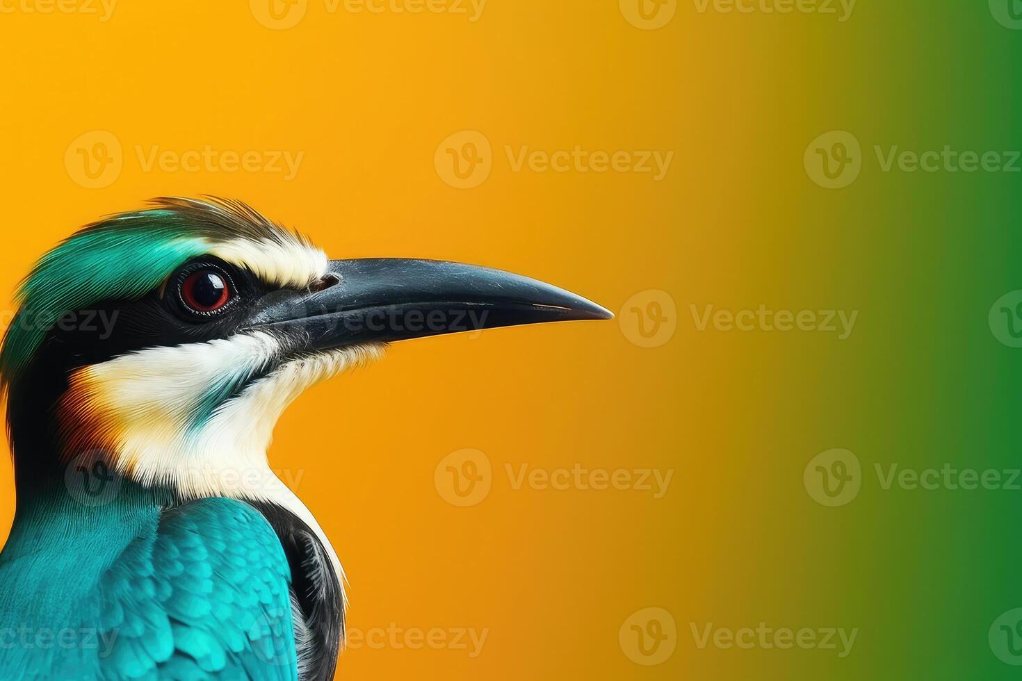 Tropical wallpaper banner with exotic bird on vivid background. photo
