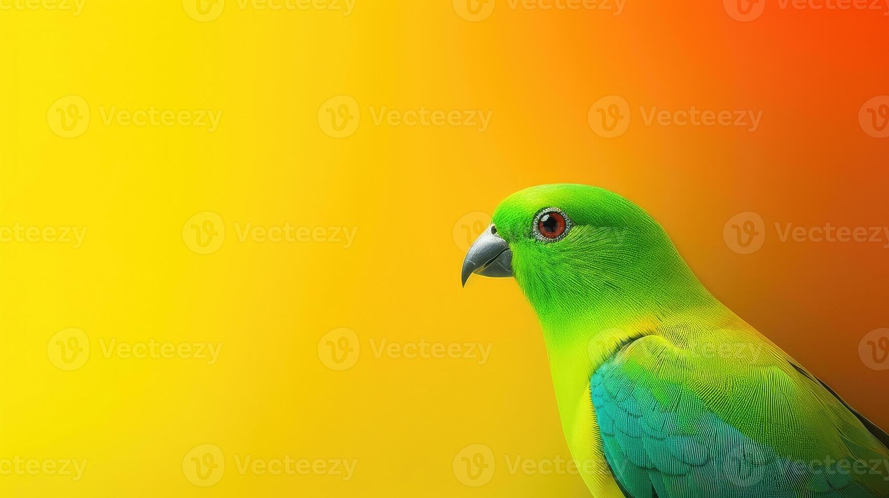 Tropical wallpaper banner with exotic parrot on vivid background. photo