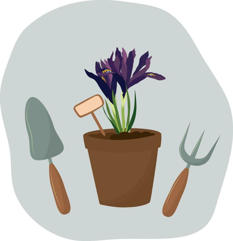 iris flor en un maceta con jardinería herramientas. alto calidad vector ilustración.