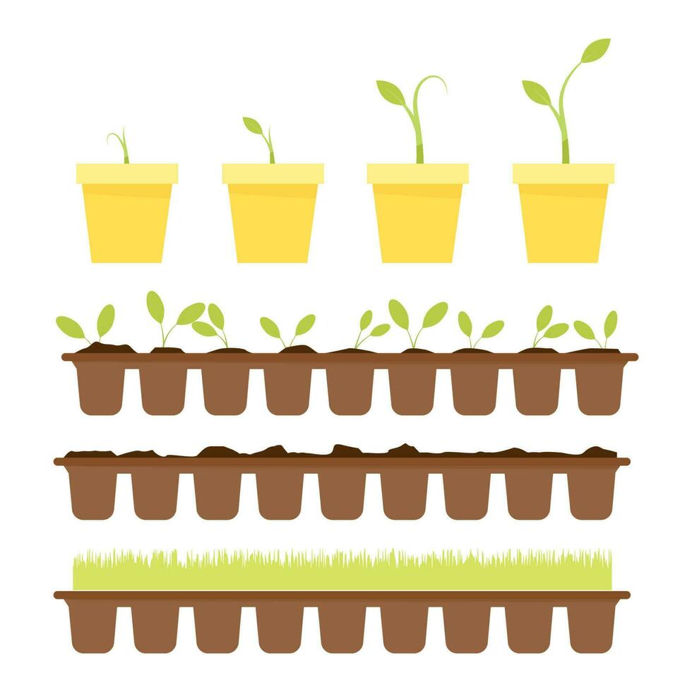 Seedlings in different pots germinate vector