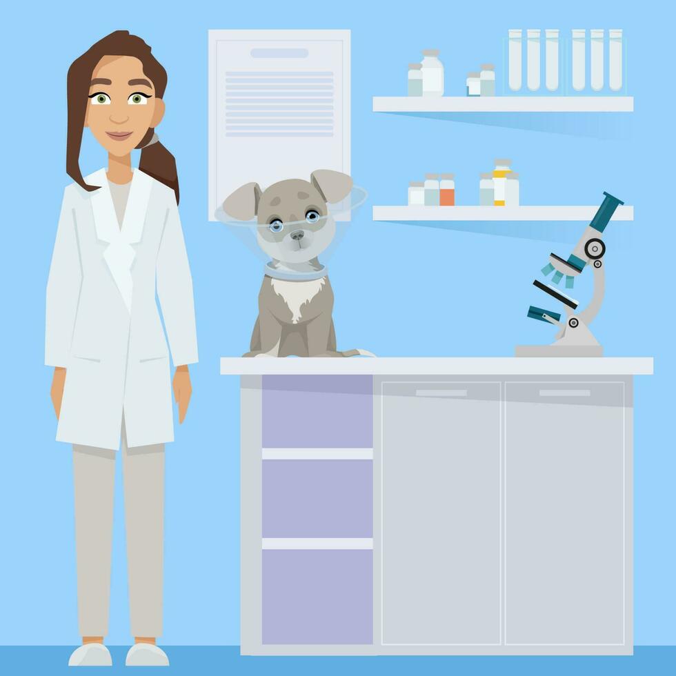 mujer médico en médico vestido con perro en veterinario oficina vector