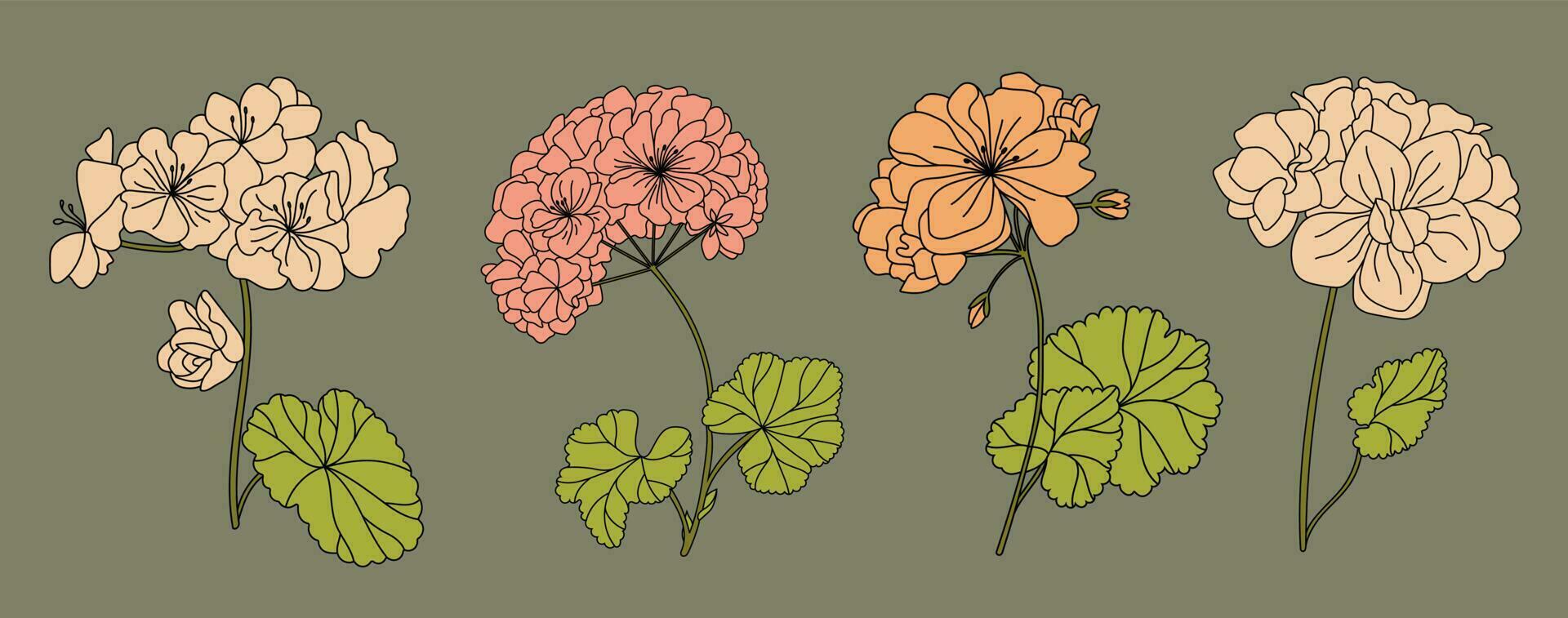 Set of Lined malva flowers. Hollyhocks. Vector. vector