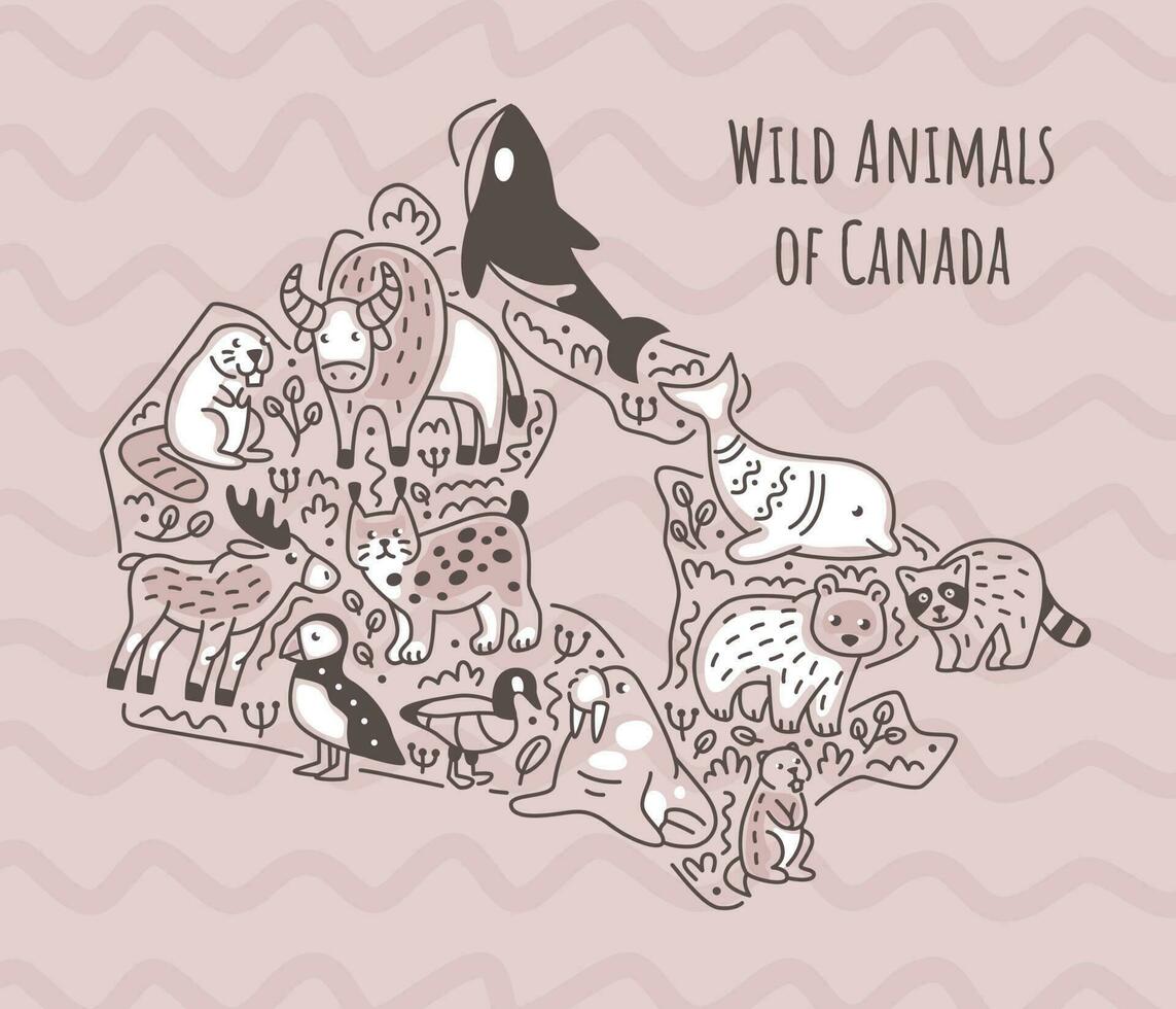Animals of Canada on map. Doodle style illustration. Outline sketch. vector