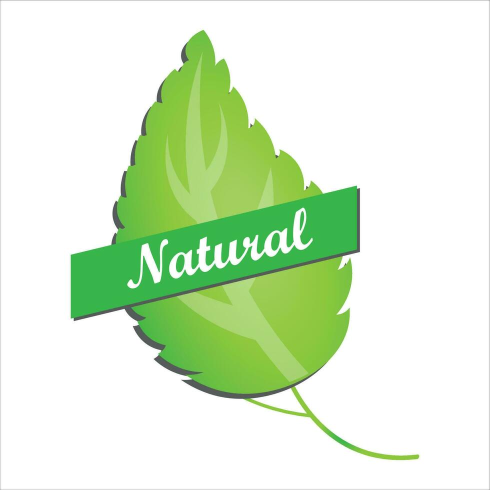 Natural product, healthy food icon vector illustration symbol