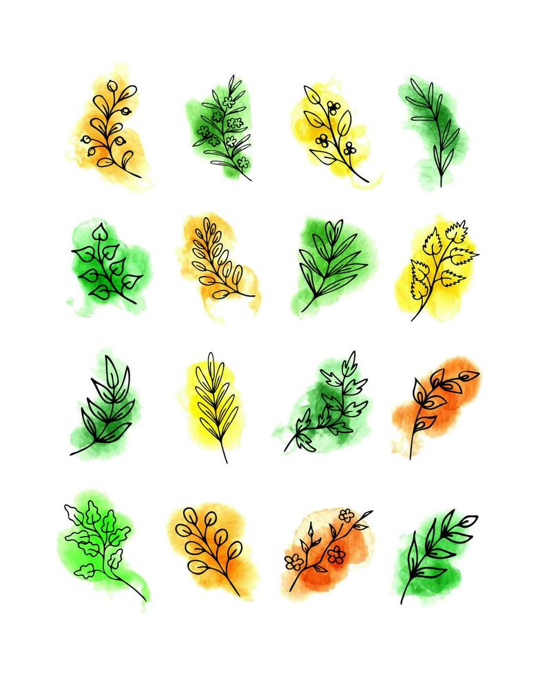 Herbs, twigs on watercolor spots hand drawn vector