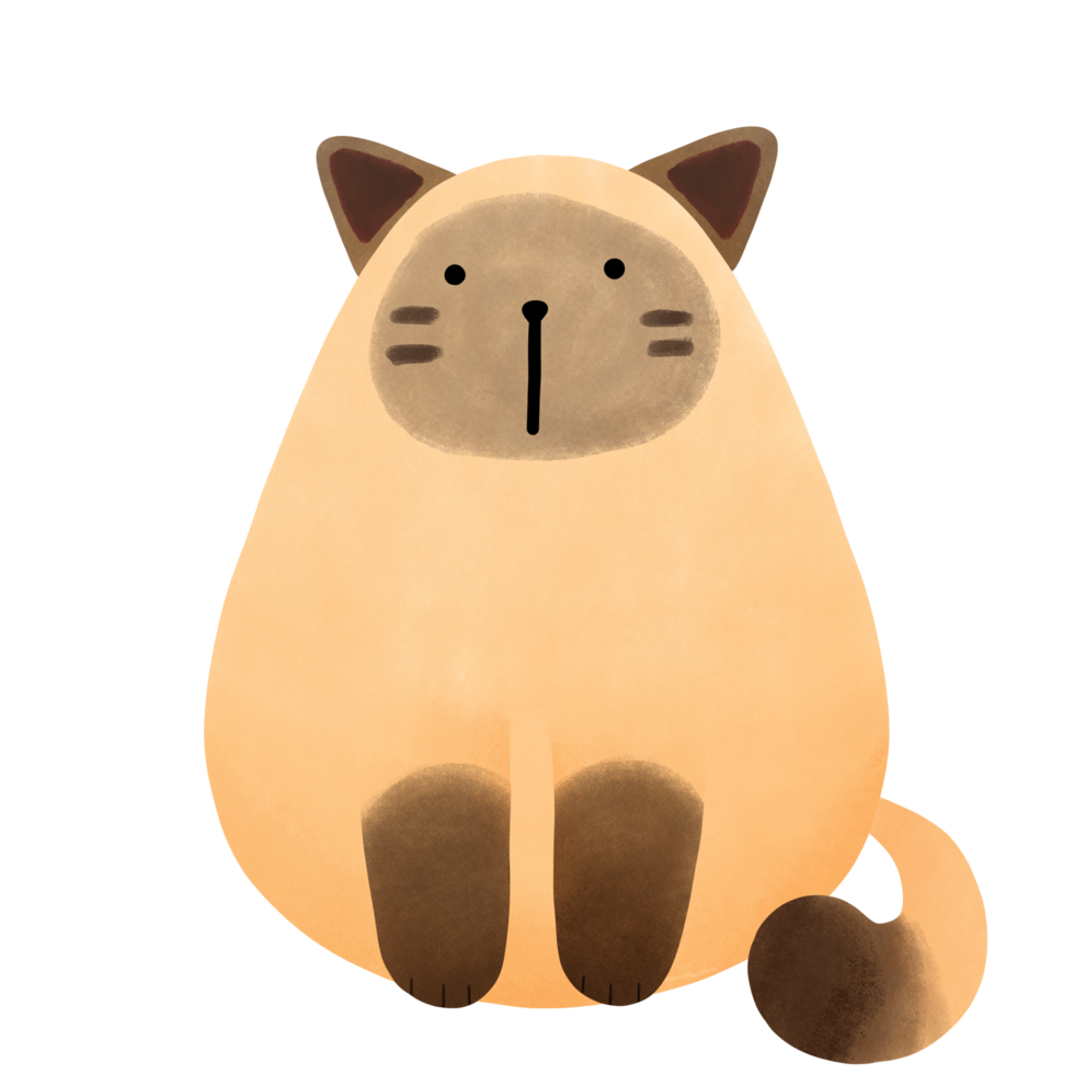 Cute Siamese cat png