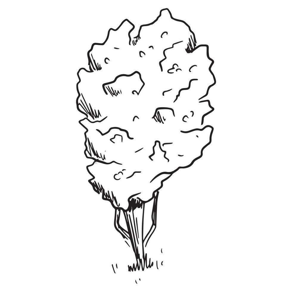 Illustration of a black and white sketch of a tree. vector