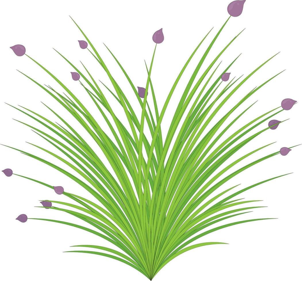 Early spring plant with light violet buds vector illustration