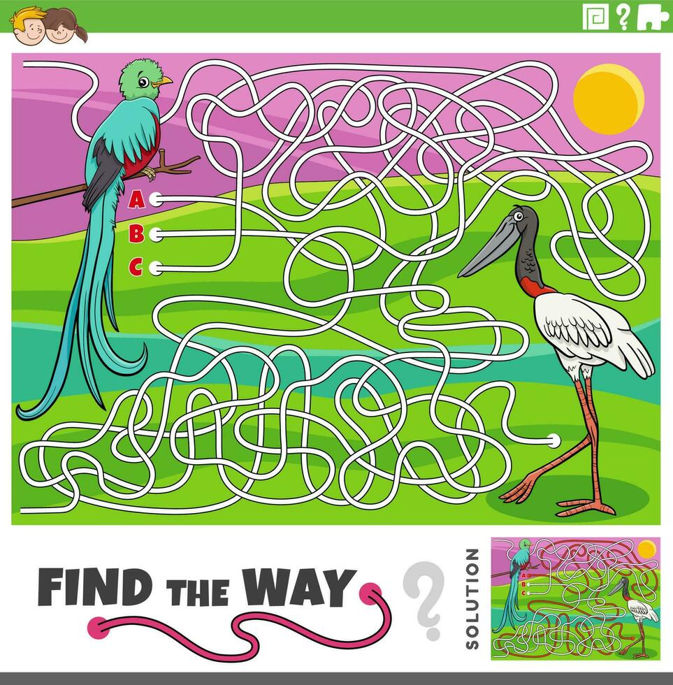 find the way maze game with cartoon bird characters vector