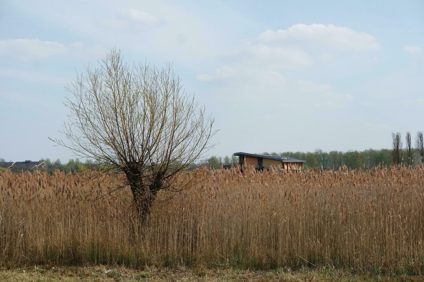 Low Angle View of Willen Lake Park with Local and Tourist Public Enjoying the Beauty of Lake and Park by Walking Around with Their Families. Footage Was Captured on 09-April-2023 at Milton Keynes UK photo