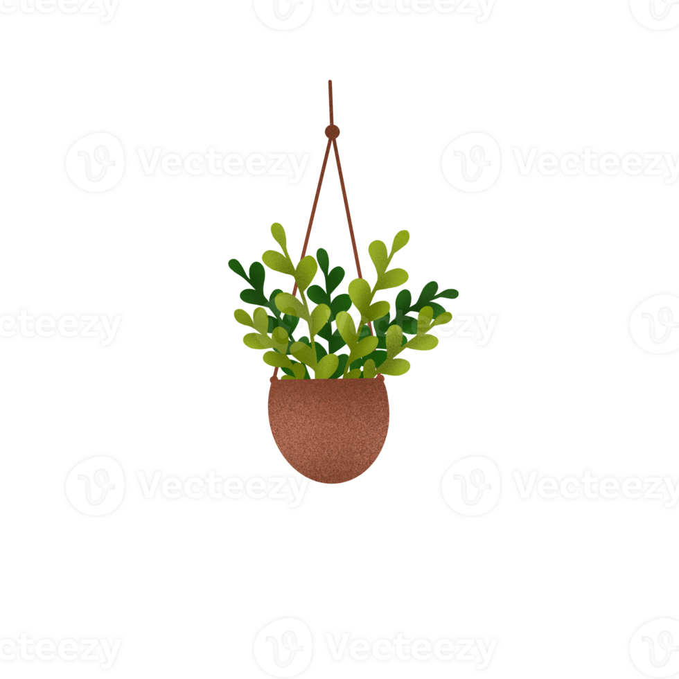 Hanging Plants Illustration 23610657 PNG