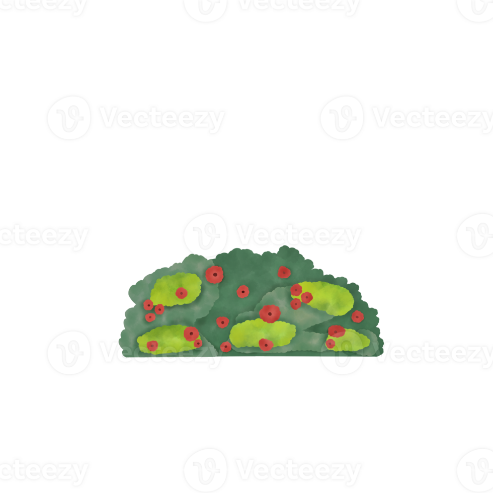 Grass Watercolor Illustration png