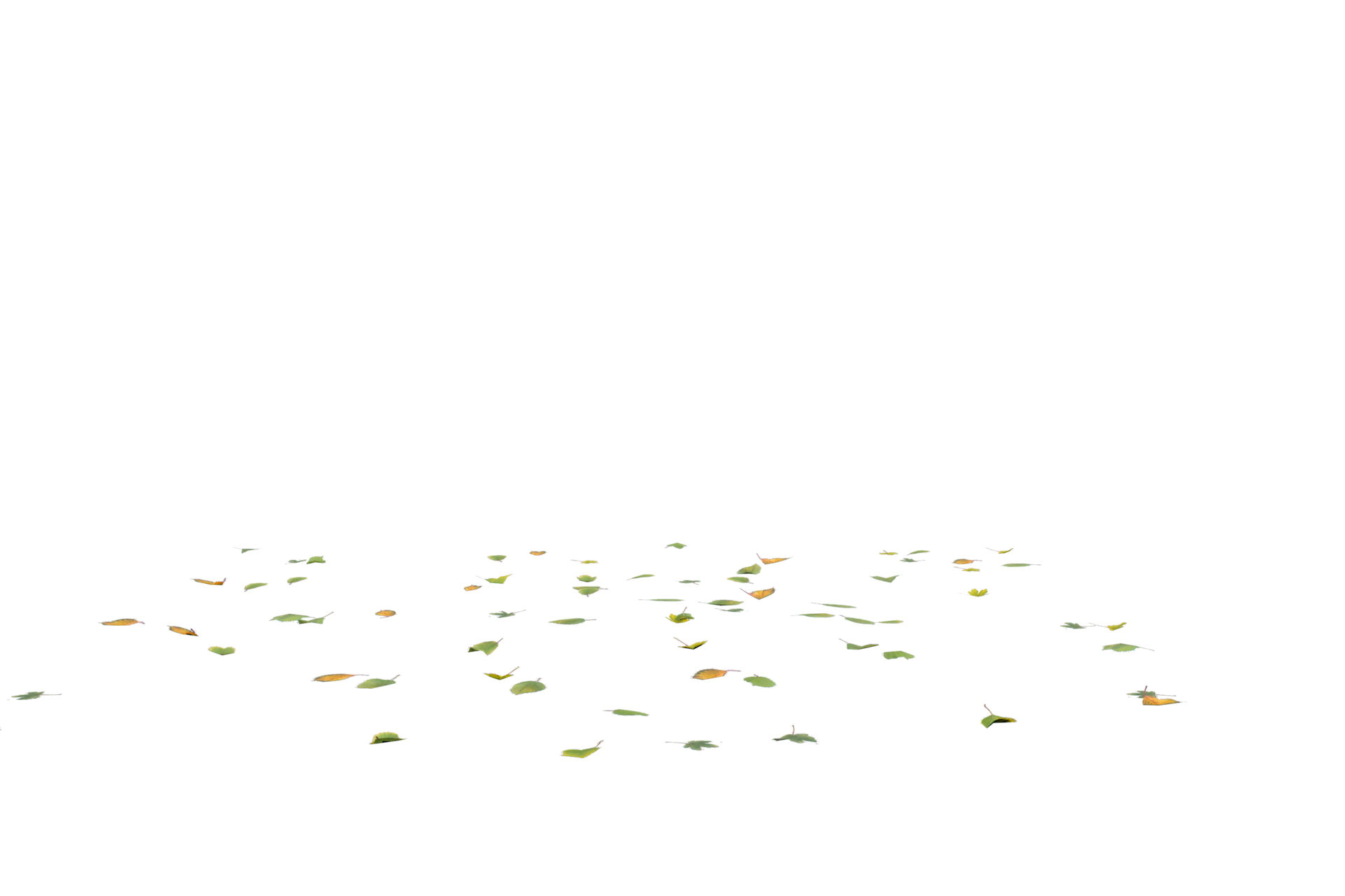 fall-leaves-on-the-ground-clear-png-23610822-png
