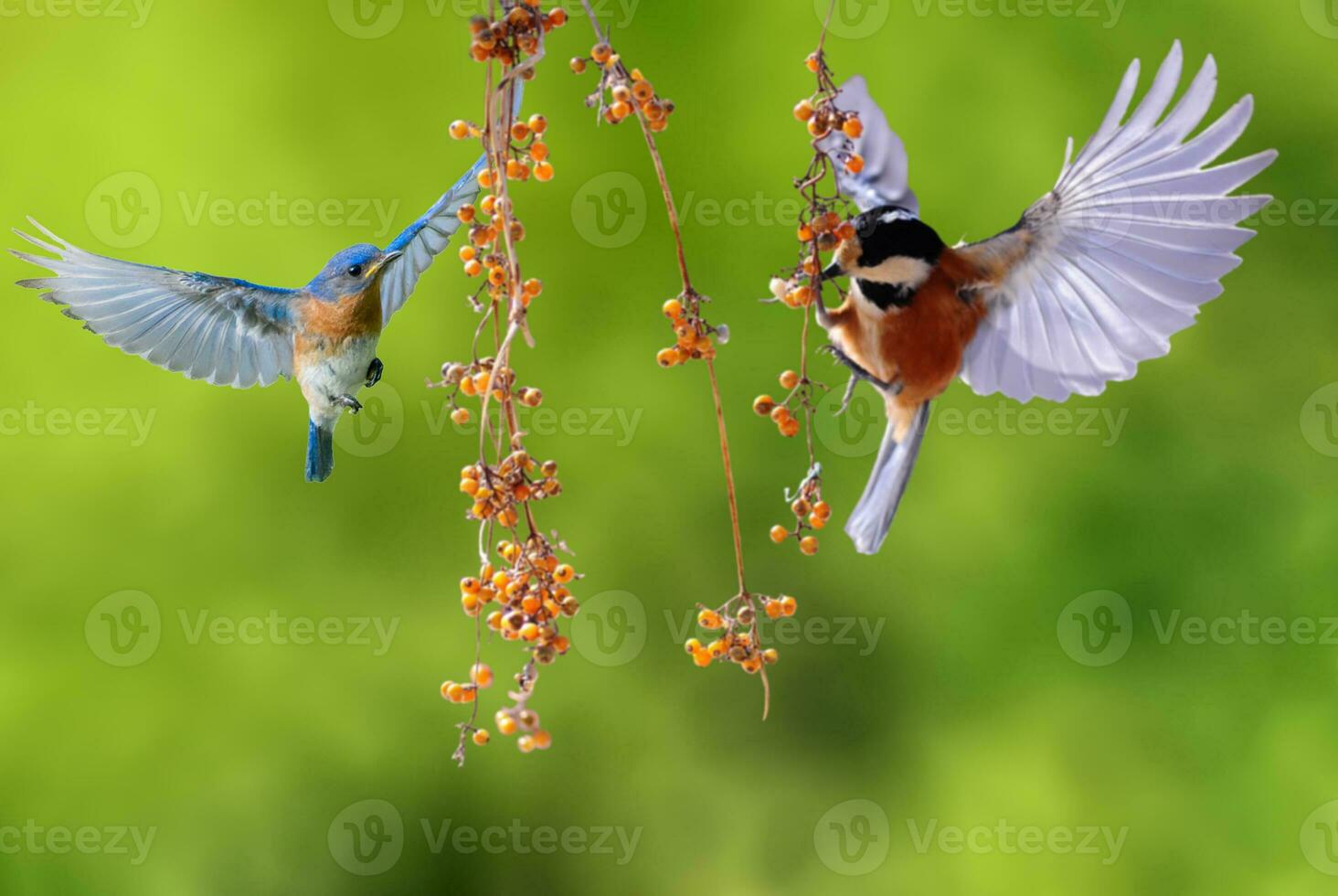 Beautiful scenery of spring season photo