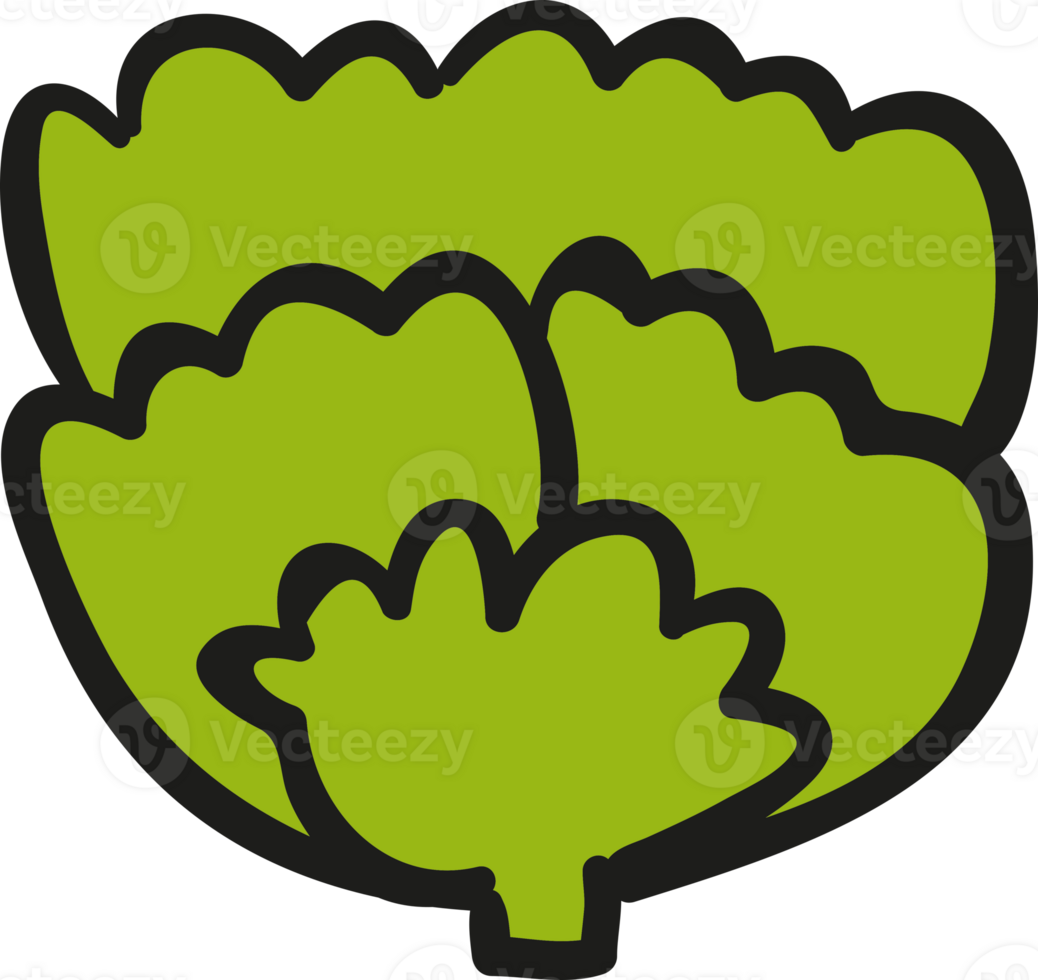 lettuce vegetable icon png
