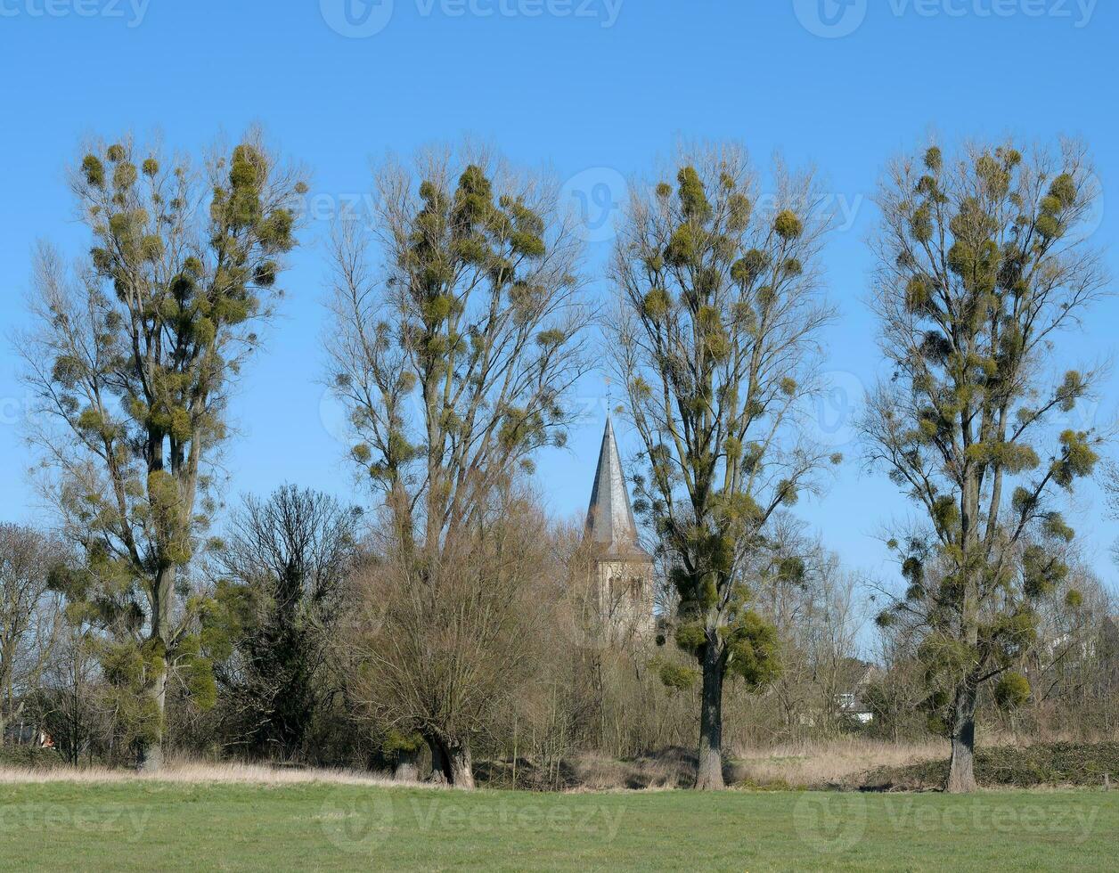 himmelgeister rheinbogen naturschutzgebiet,duesseldorf-himmelgeist,rheinaue,nrw,deutschland foto