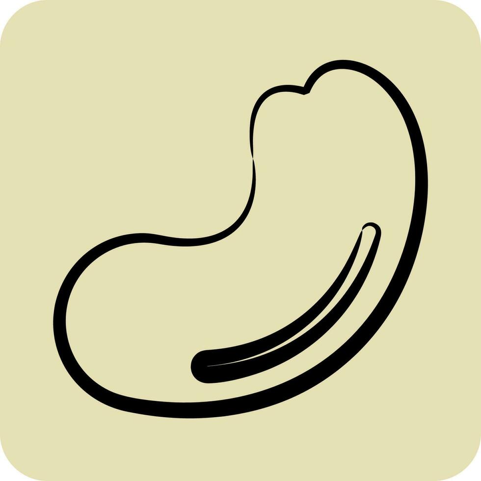 Icon Cashew. suitable for Nuts symbol. hand drawn style. simple design editable vector