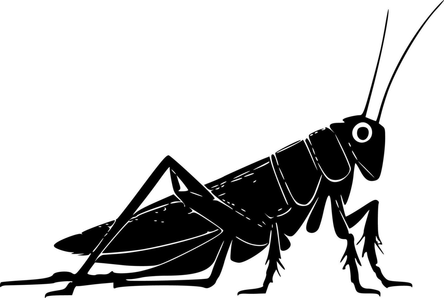 Grasshopper, Black and White Vector illustration