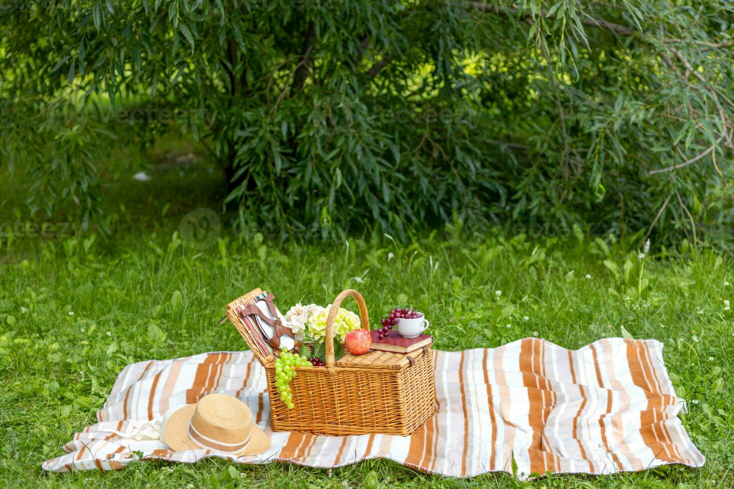 al aire libre picnic. picnic cesta en un a rayas tartán en un claro, Copiar espacio foto