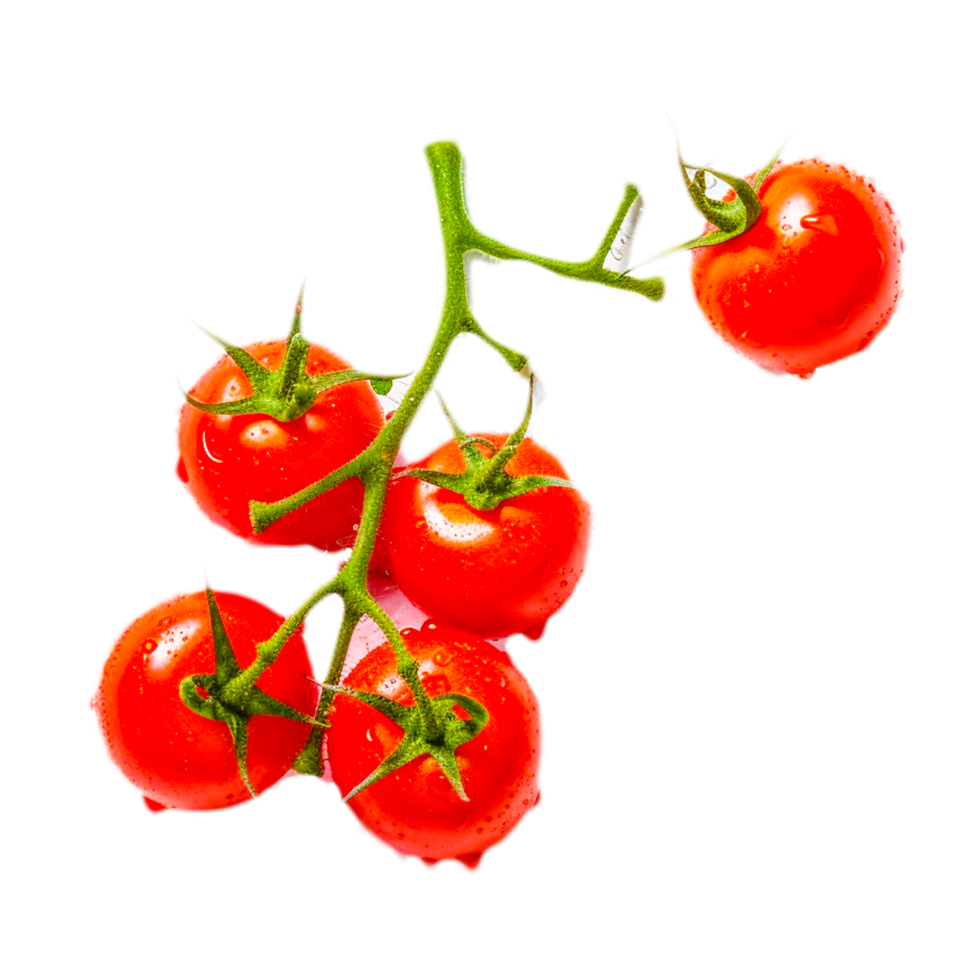 AI generative tomato png transparent