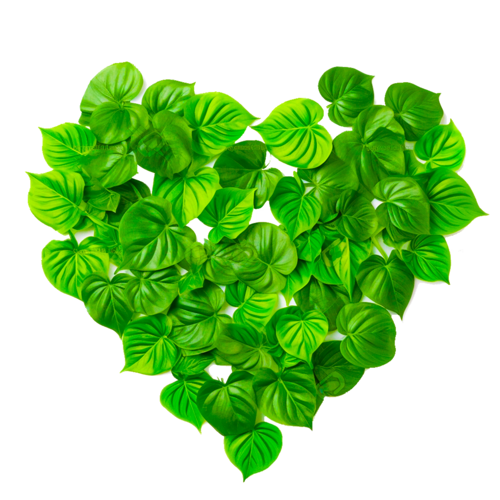 ai generativo corazón forma con verde hojas png