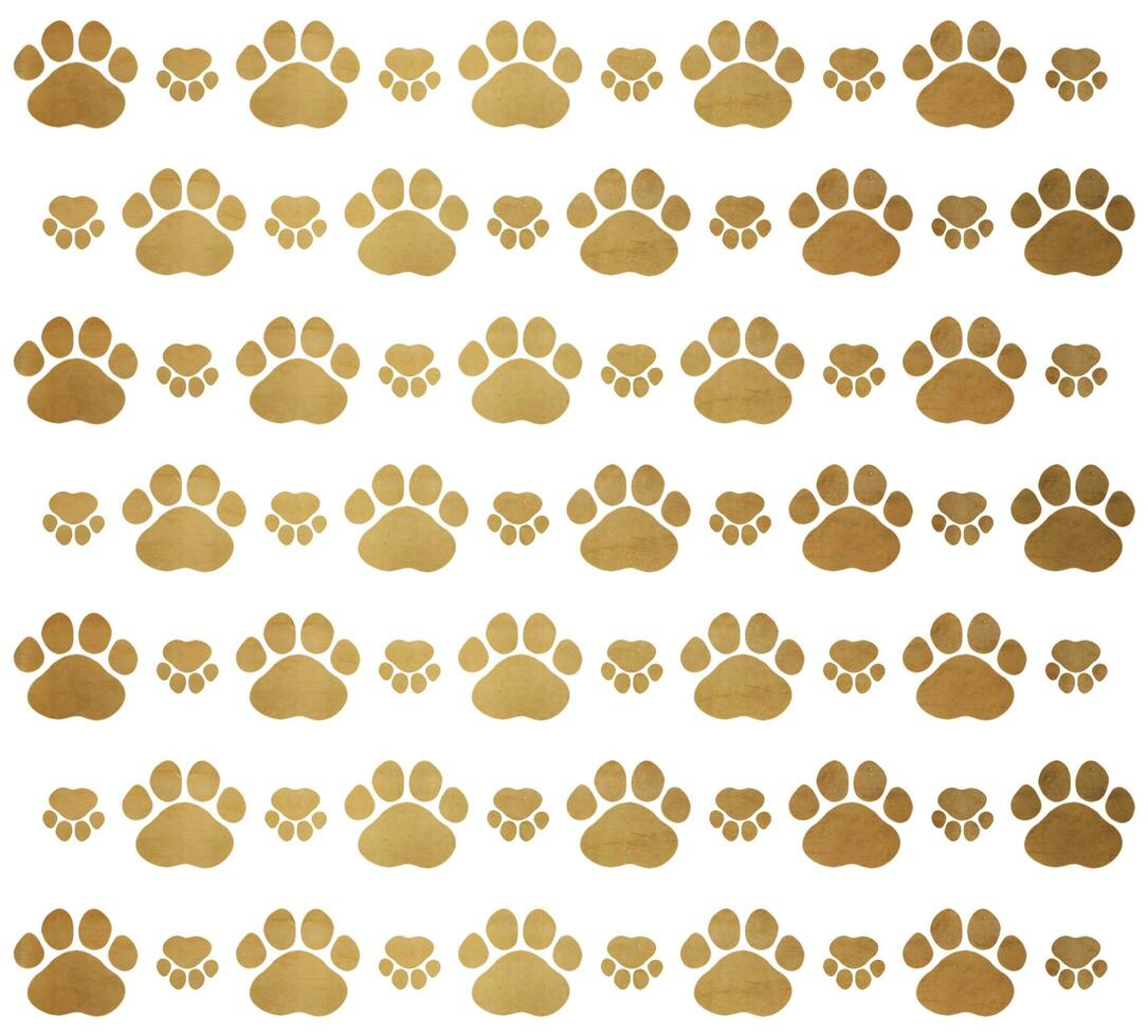 Seamless pattern with gold paws. Cat Paw Dog Paw kitten vector Seamless Pattern wallpaper background. Paw prints dog track banner divider border design template photo