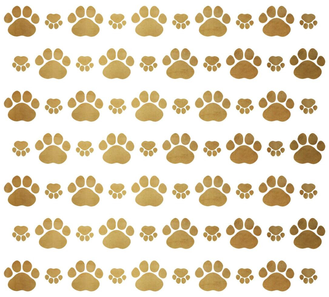 Seamless pattern with gold paws. Cat Paw Dog Paw kitten vector Seamless Pattern wallpaper background. Paw prints dog track banner divider border design template photo