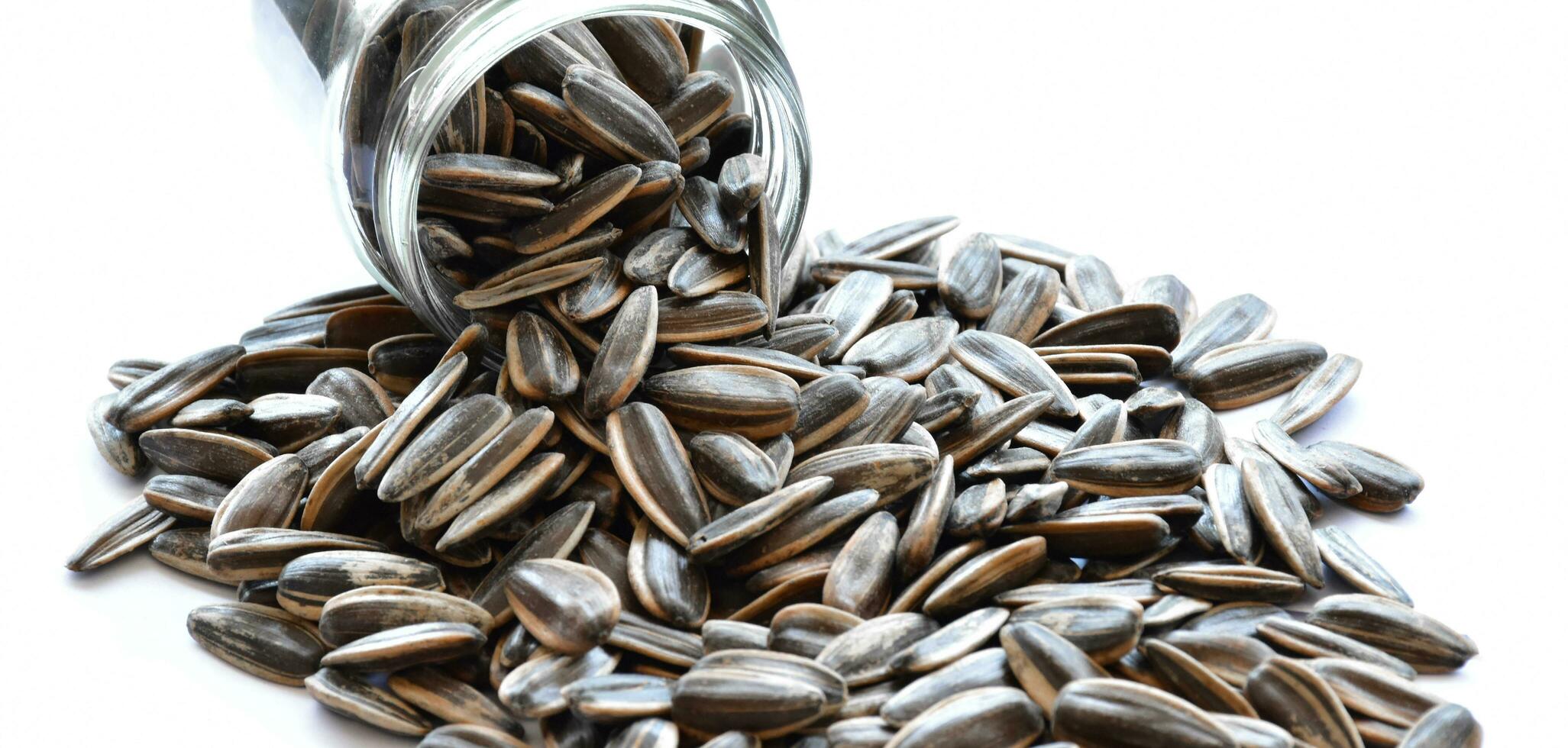 Sunflower seeds for eating as snack in freetimes. photo
