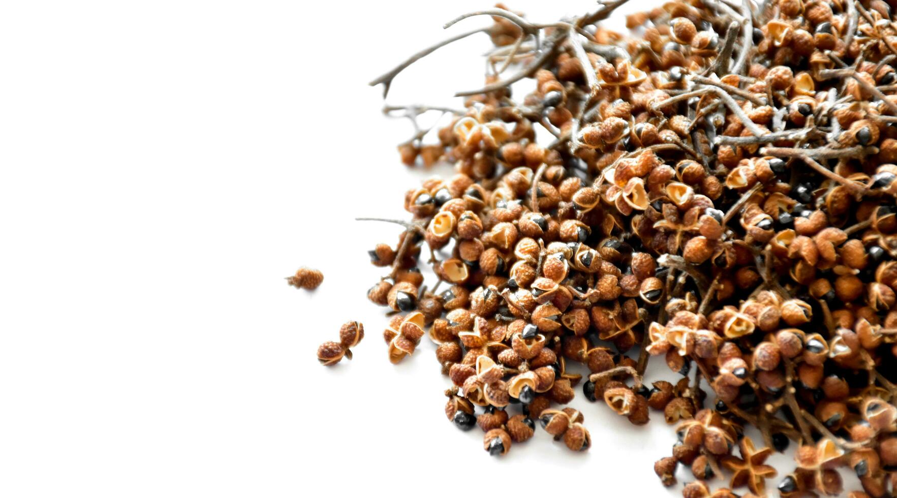 A pile of Sichuan pepper seeds photo