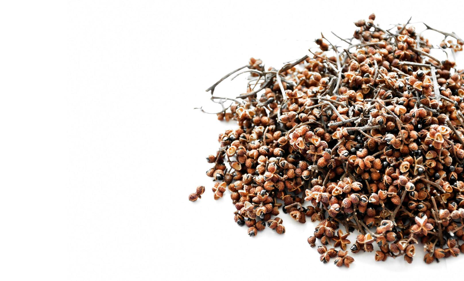 A pile of Sichuan pepper seeds photo