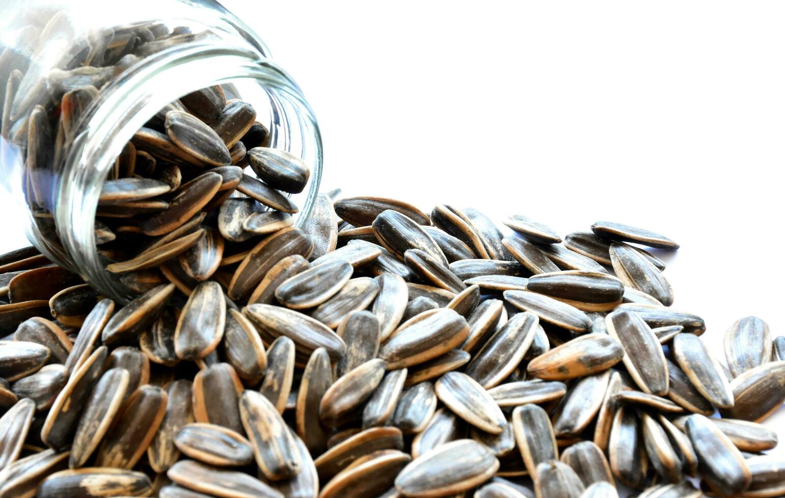 Sunflower seeds for eating as snack in freetimes. photo