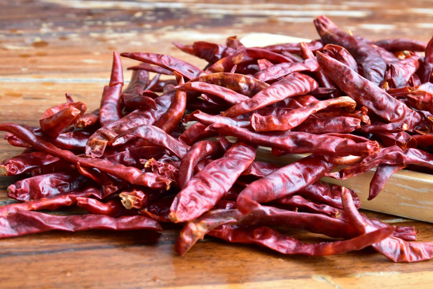 Isolated asian dry red chillies on a white background photo
