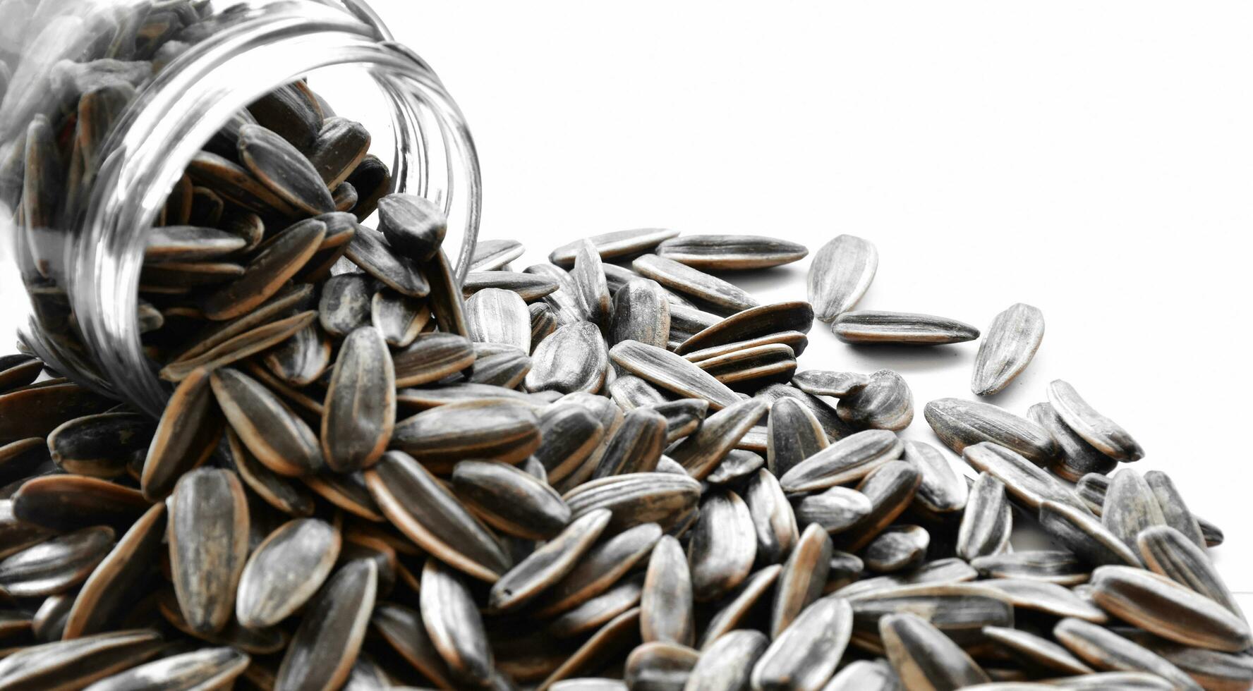 Sunflower seeds for eating as snack in freetimes. photo