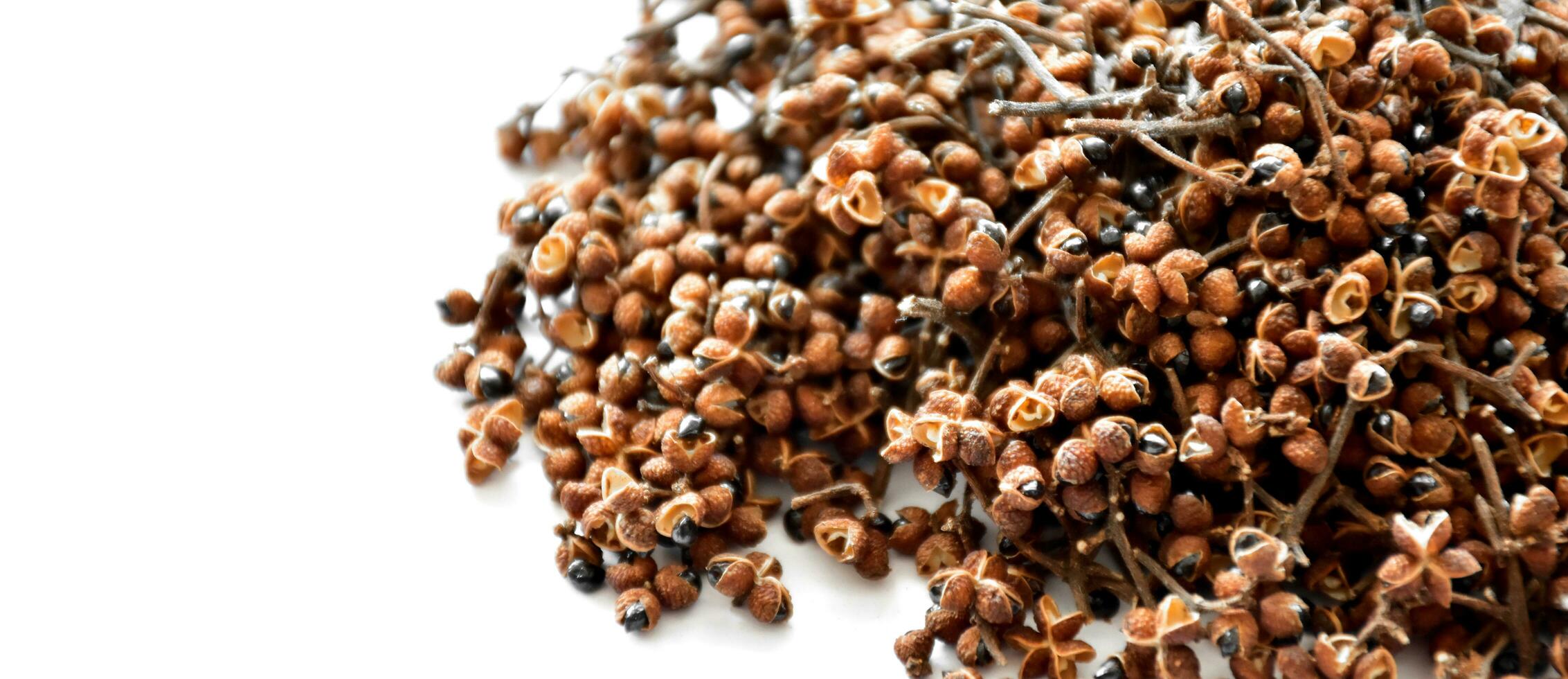 A pile of Sichuan pepper seeds photo