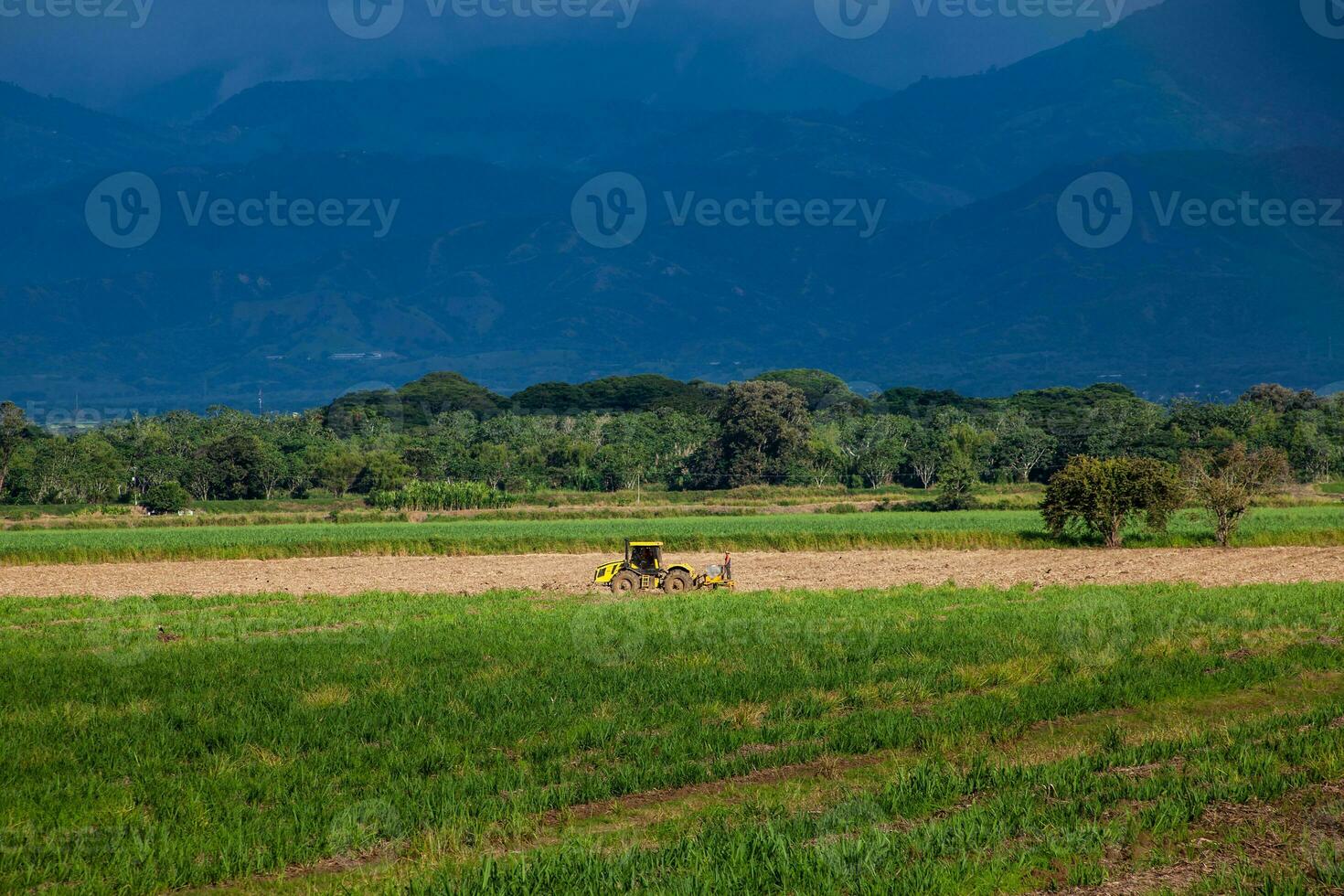 Cultivation fields and the majestic mountains at the Valle del Cauca region in Colombia photo